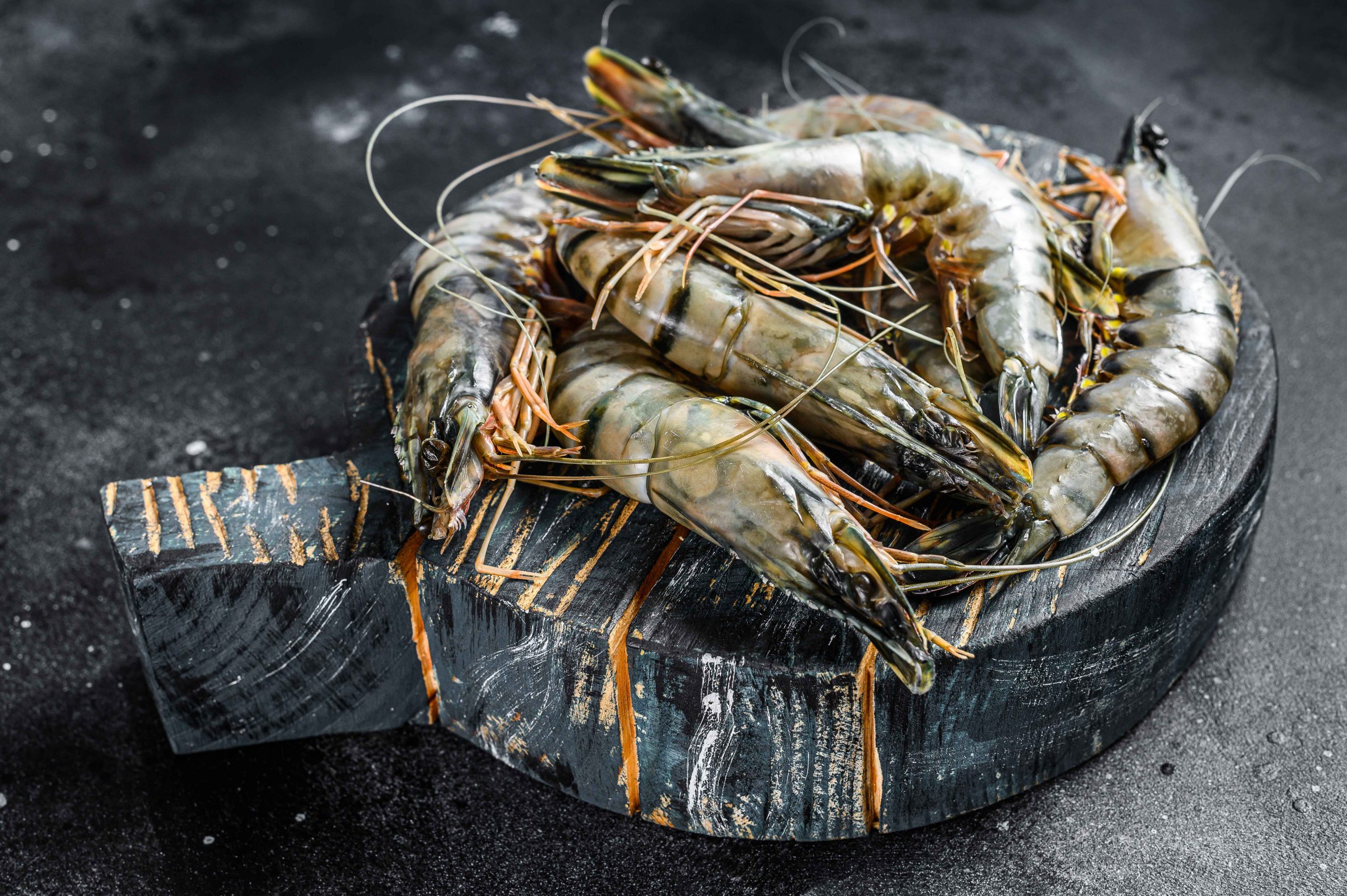 blackprawn-cfishery