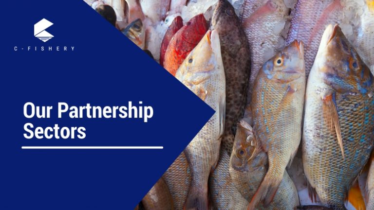 Our Partnership Sectors