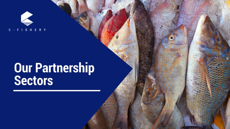 Our Partnership Sectors