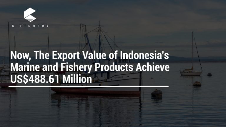 Now, The Export Value of Indonesia’s Marine and Fishery Products Achieve US$488.61 Million