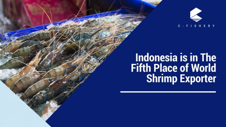 Indonesia is in The Fifth Place of World Shrimp Exporter