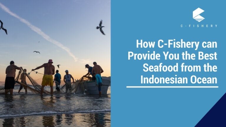 How C-Fishery can Provide You the Best Seafood from the Indonesian Ocean