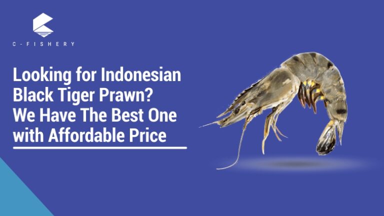 Looking for Indonesian Black Tiger Prawn? We Have The Best One with Affordable Price