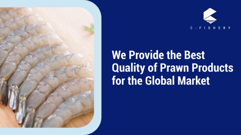 We Provide the Best Quality of Prawn Products for The Global Market