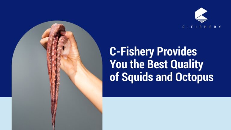 C-Fishery Provides You the Best Quality of Squids and Octopus