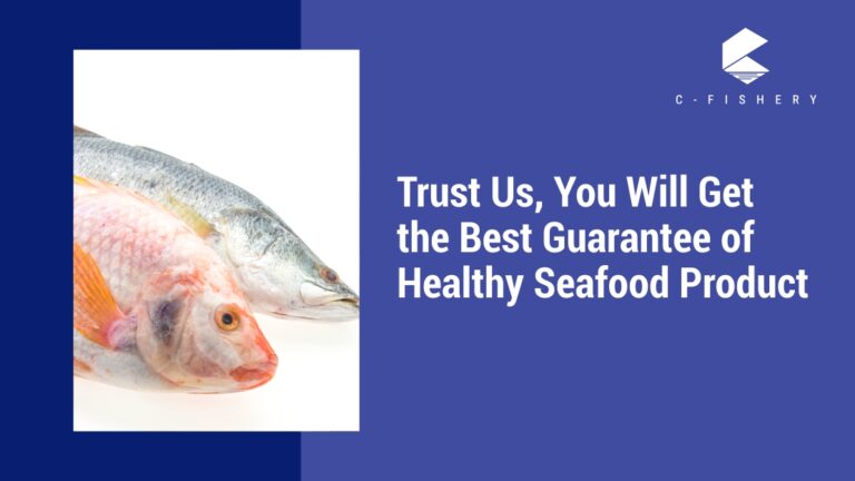 Trust Us, You Will Get the Best Guarantee of Healthy Seafood Product