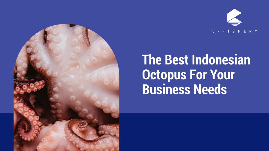 The Best Indonesian Octopus For Your Busineess Needs