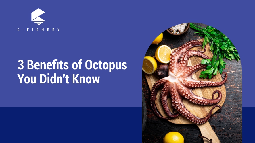 3 Benefits of Octopus You Didn't Know
