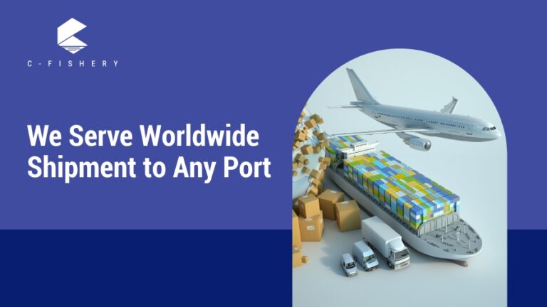 C-FIshery Serves Worldwide Seafood Shipping to Any Port