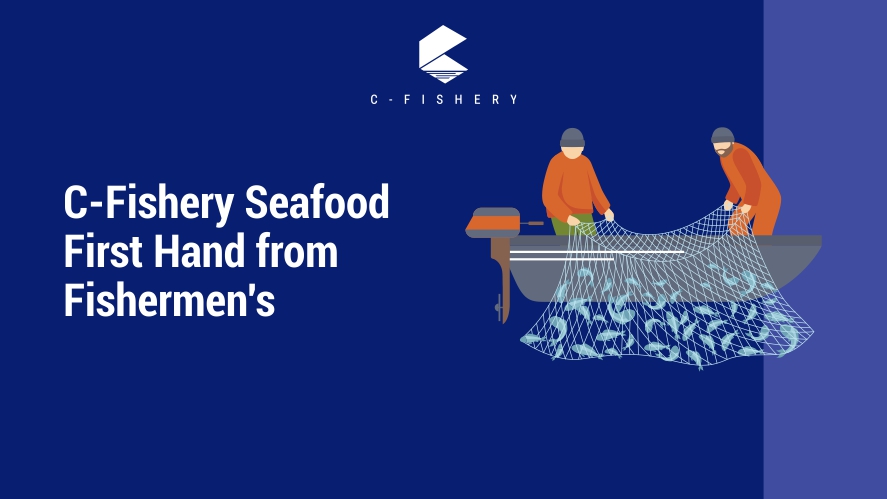 How Is C-Fishery’s Seafood Supplied By Local Fishermen?
