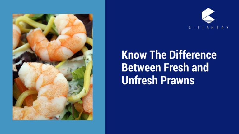 Know the Difference between Fresh and Unfresh Prawns