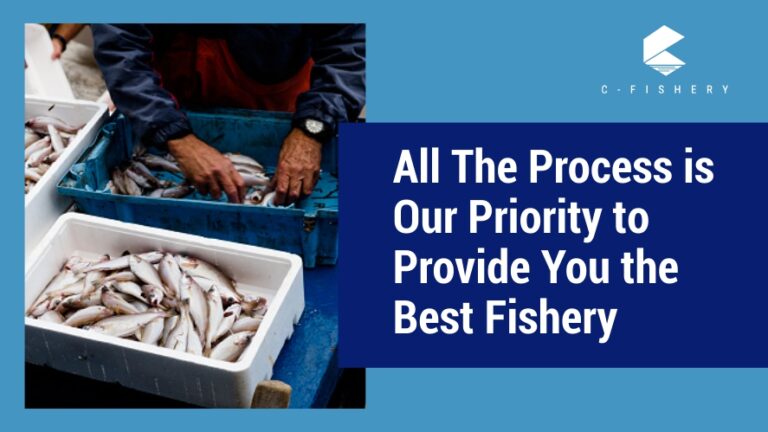 All The Process is Our Priority to Provide You the Best Fishery
