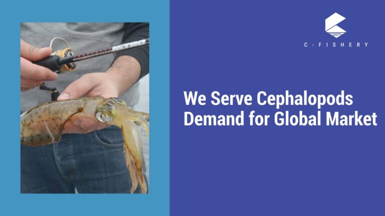 We Serve Cephalopods Demand for Global Market