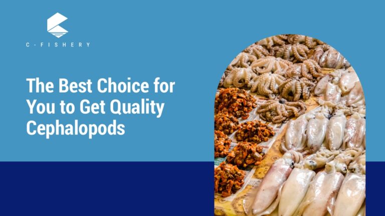 The Best Choice for You to Get Quality Seafood