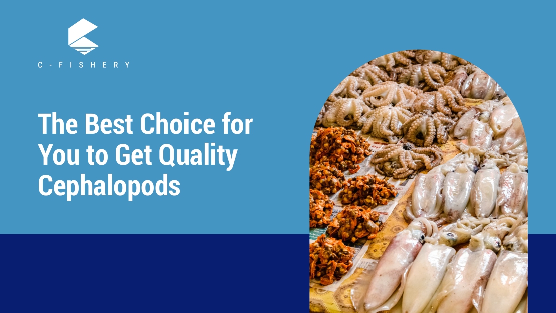 The Best Choice for You to Get Quality Seafood