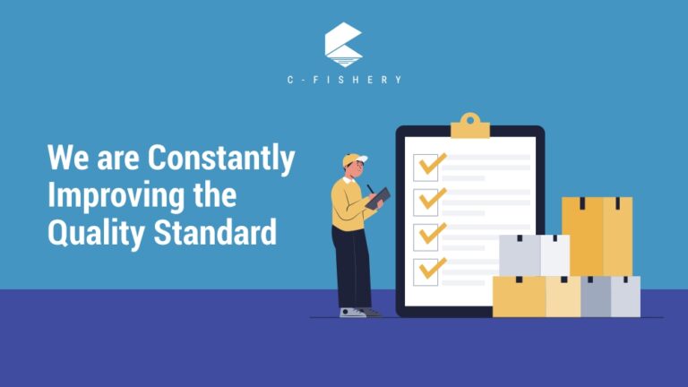 We Are Constantly Improving The Quality Standard