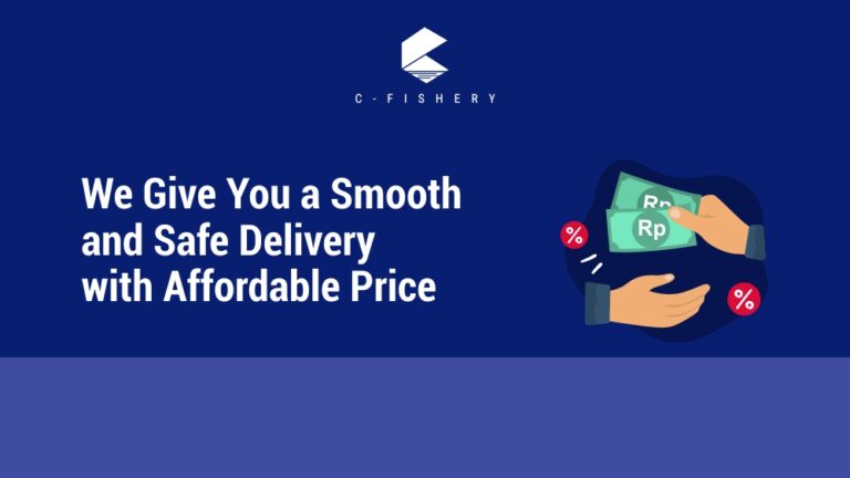 We Give You a Smooth and Safe Delivery with Affordable Price
