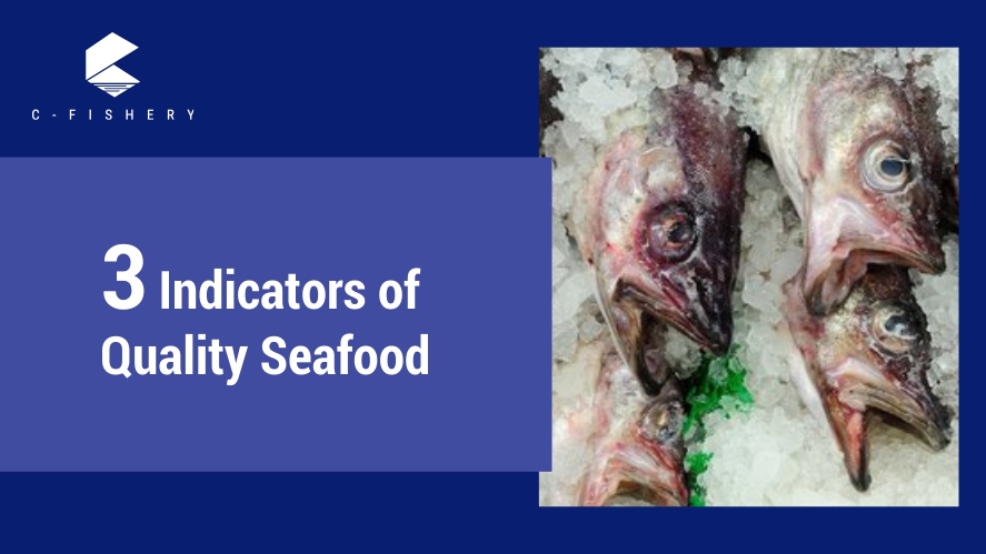 3 Indicator of Quality Seafood