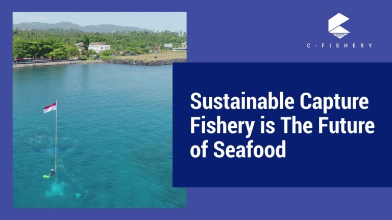 Sustainable Capture Fishery is The Future of Seafood