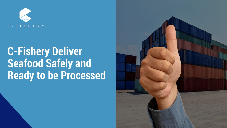 C-Fishery Deliver Seafood Safely and Ready to be Processed