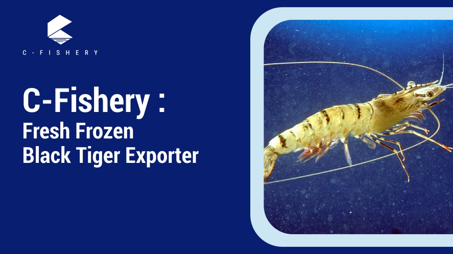 C-Fishery Fresh Frozen Black Tiger Exporter