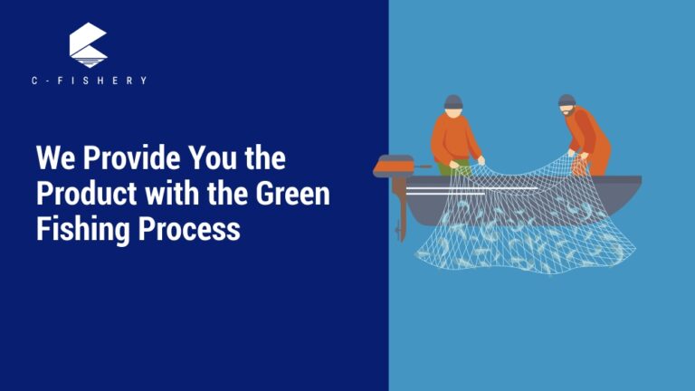We Provide You the Product with the Green Fishing Process
