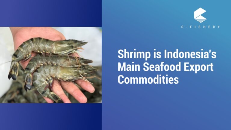 Shrimp is Indonesia’s Main Seafood Export Commodities