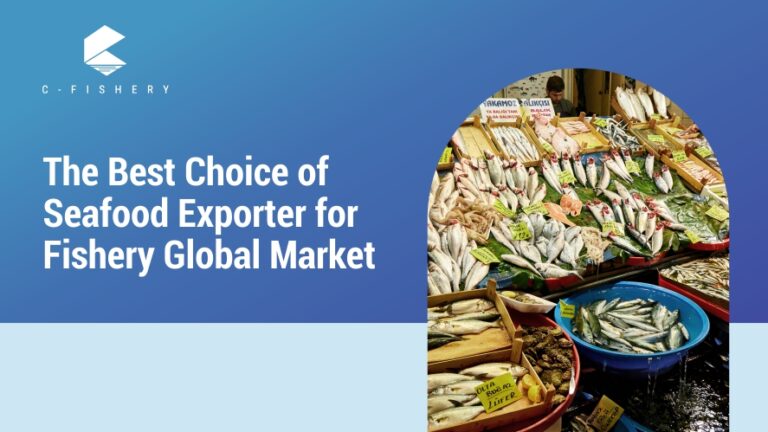 The Best Choice of Seafood Exporter for Fishery Global Market