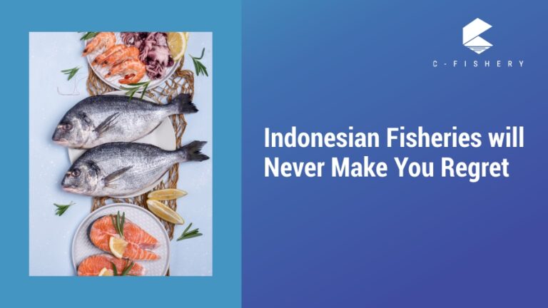 Indonesian Fisheries Will Never Make You Regret