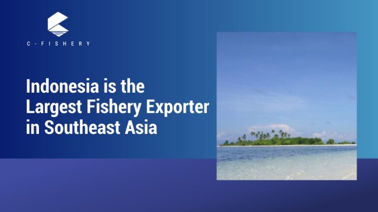 Indonesia is The Largest Fishery Exporter in Southeast Asia