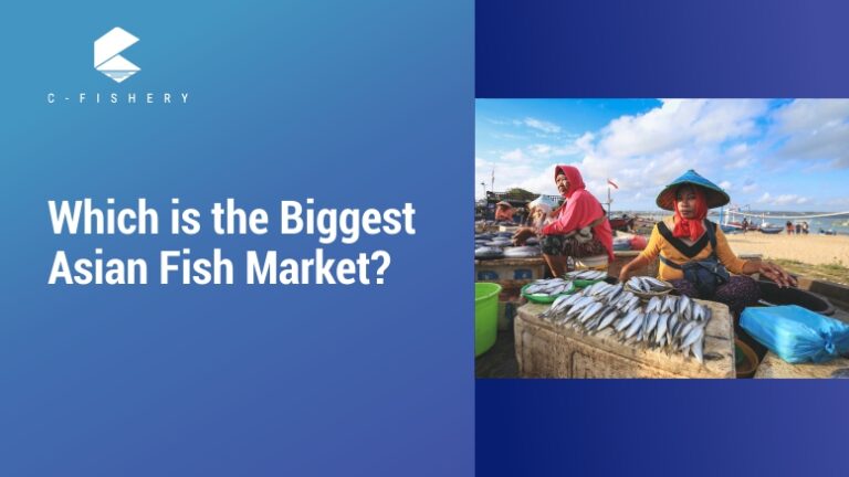 Which is The Biggest Asian Fish Market?