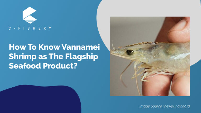 How To Know Vannamei Shrimp as The Flagship Seafood Product?