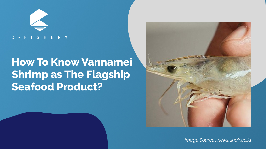 How To Know Vannamei Shrimp as The Flagship Seafood Product