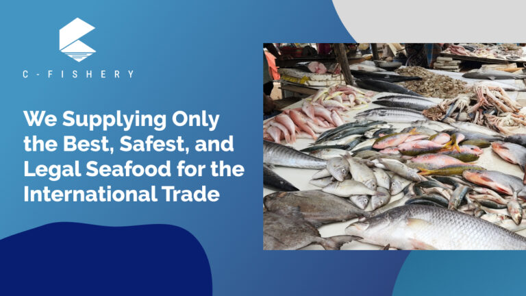 We Supplying Only The Best, Safest, and Legal Seafood for The International Trade