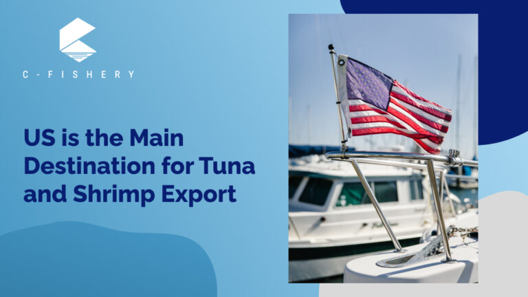 US is The Main Destination for Tuna and Shrimp Export