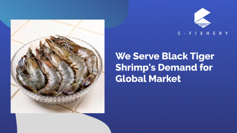 We Serve Black Tiger Shrimp’s Demand for Global Market