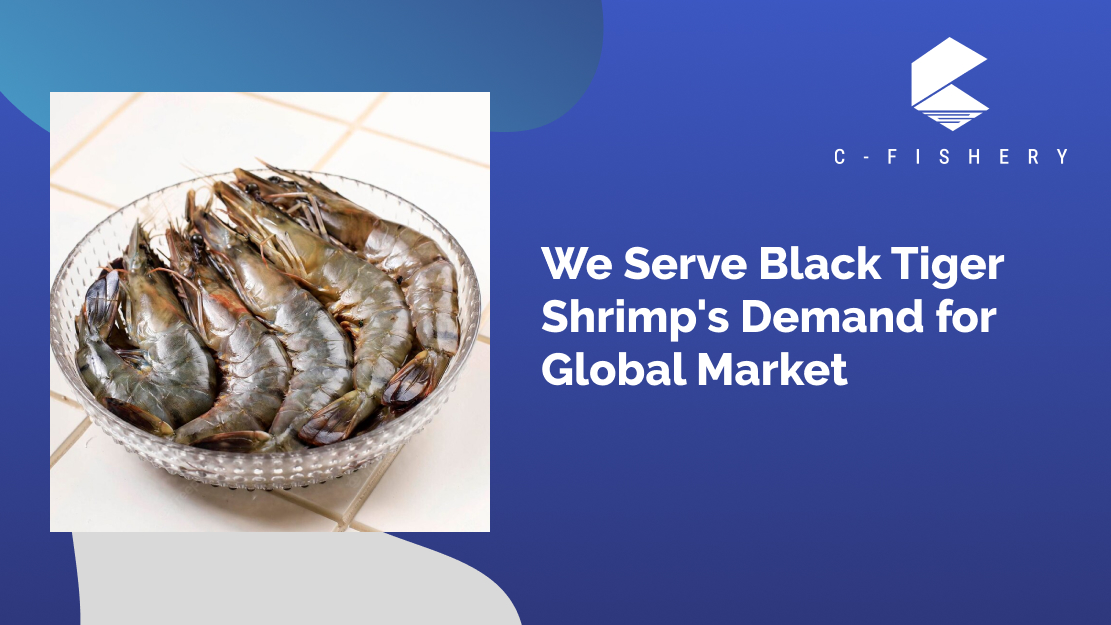 We Serve Black Tiger Shrimp's Demand for Global Market