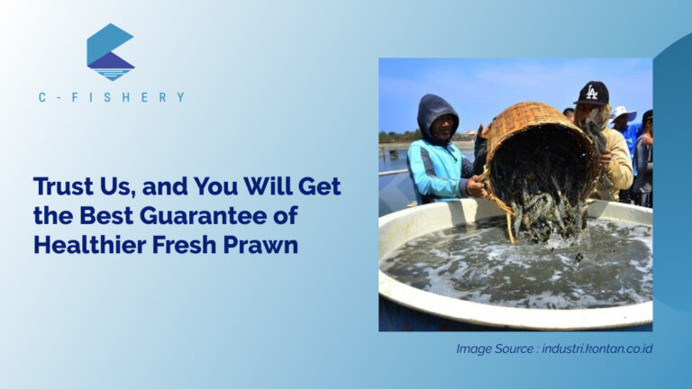 Trust Us, and You Will Get the Best Guarantee of Healthier Fresh Prawn