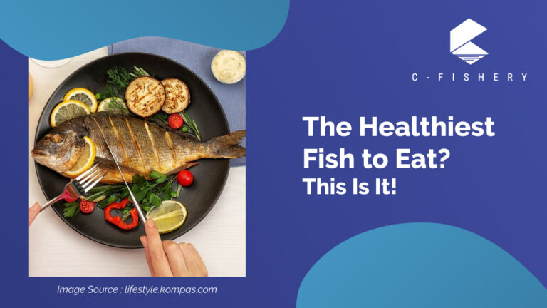 The Healthiest Fish to Eat? This Is It