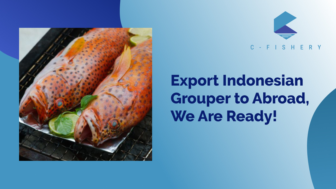 Export Indonesian Grouper to Abroad, We Are Ready