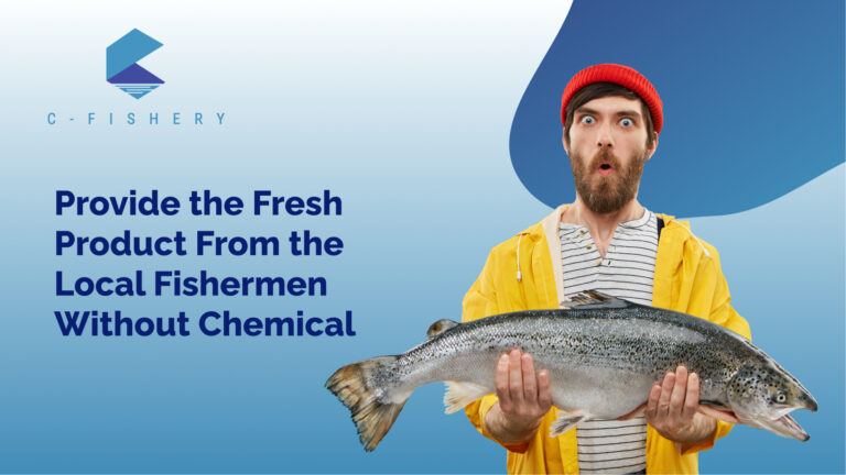 Provide The Fresh Product From the Local Fishermen Without Chemical